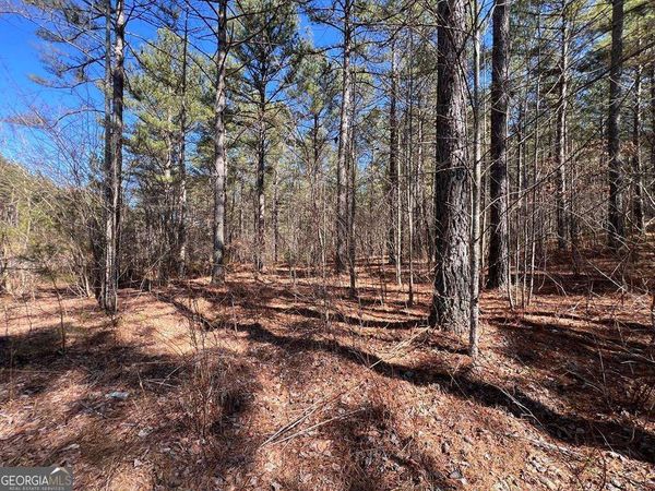 LOT 50 Deyton Drive, Blairsville, GA 30512