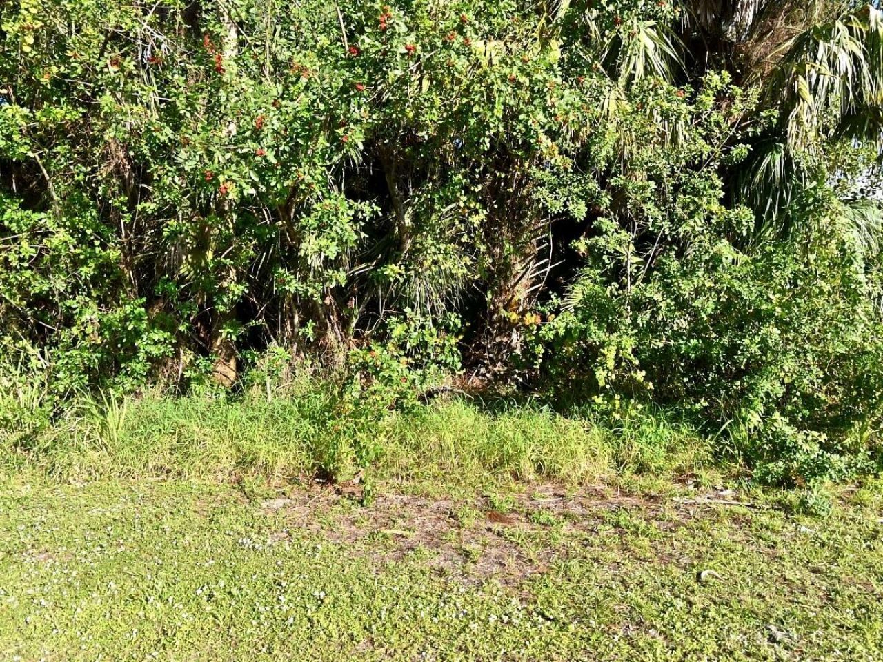 Xxx N 45th Street, Fort Pierce, FL 34946 Photo