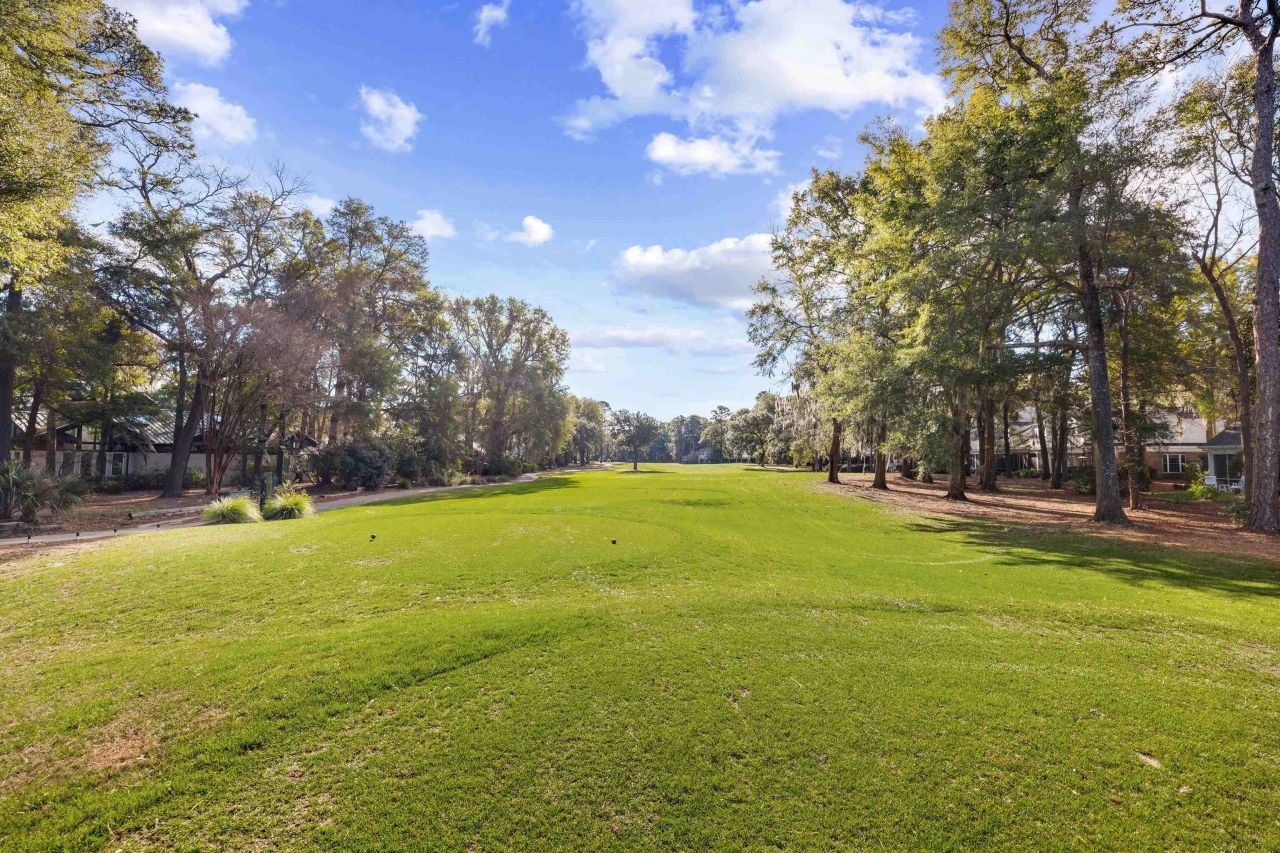 489 Golden Bear Dr. Photo 28