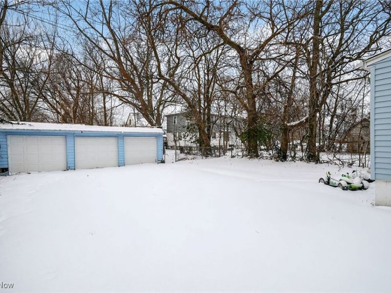 14613 Westropp Avenue, Cleveland, OH 44110 Photo 3