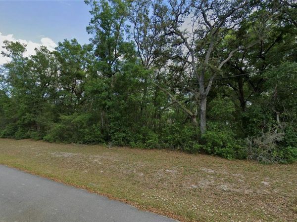 TBD SE 59TH STREET, OCKLAWAHA, FL 32179