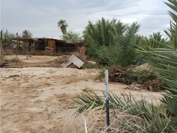 21 alcott, Niland, CA 92257