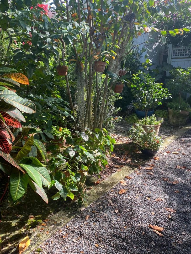 1321 Asturia Ave, Unit REAR, Coral Gables, FL 33134 Photo