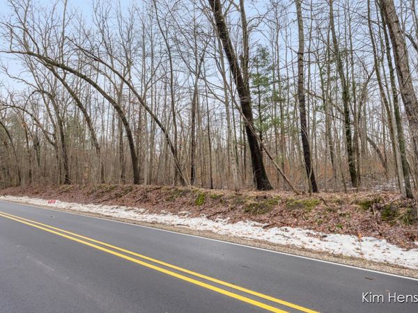 V/L W Wood Lake Road, Pierson, MI 49339