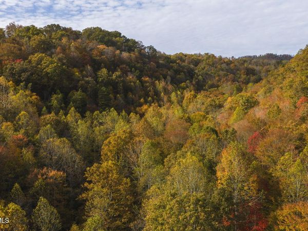 89 Acres Lynn Flanary Road, Blackwater, VA 24221