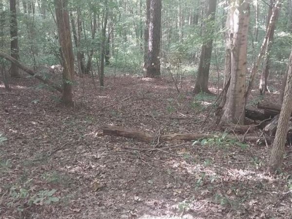 0 Duncan Lane, Central City, KY 42330