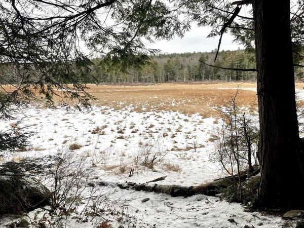 332 Gleason Falls Road, Unit Map 5 lot 87 and map 8 lo, Hillsborough, NH 03244