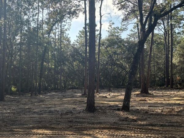 409 EDGEHILL Road, Satsuma, FL 32189