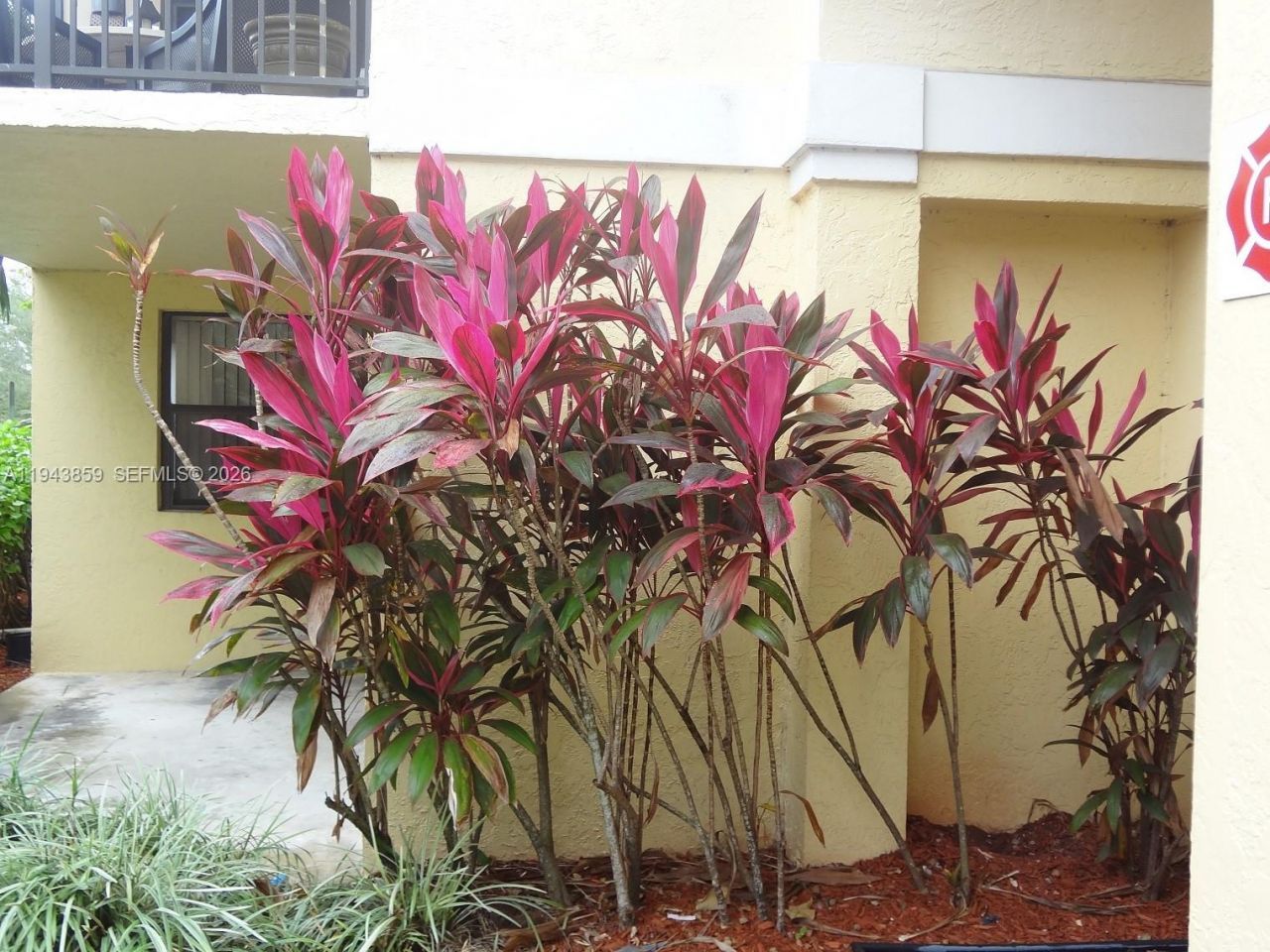 10125 W Sunrise Blvd , Unit 104, Plantation, FL 33322 Photo