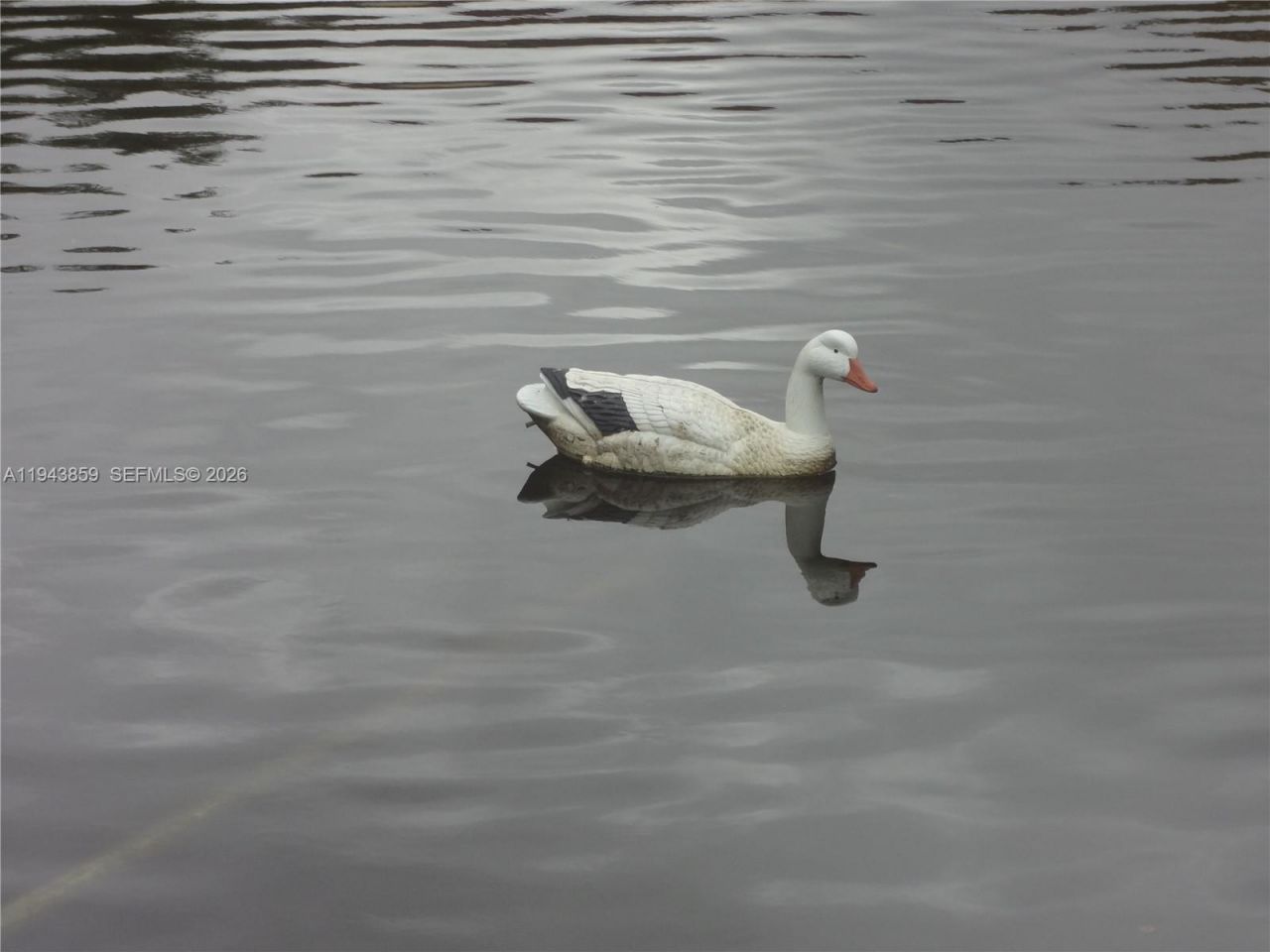 10125 W Sunrise Blvd , Unit 104, Plantation, FL 33322 Photo