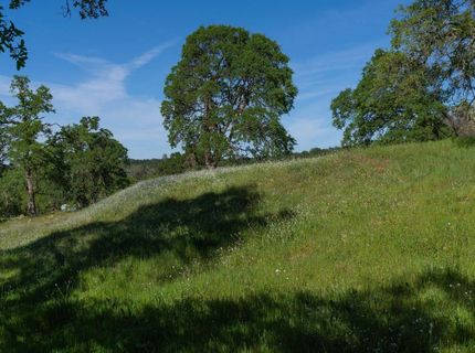 10851 Sunset Dr, Sutter Creek, CA 95685 Photo