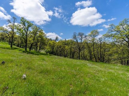 10851 Sunset Dr, Sutter Creek, CA 95685 Photo