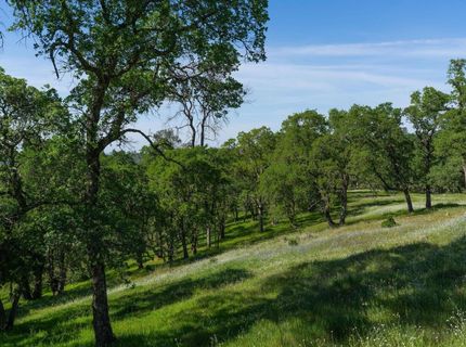 10851 Sunset Dr, Sutter Creek, CA 95685 Photo