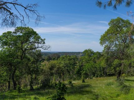 10851 Sunset Dr, Sutter Creek, CA 95685 Photo
