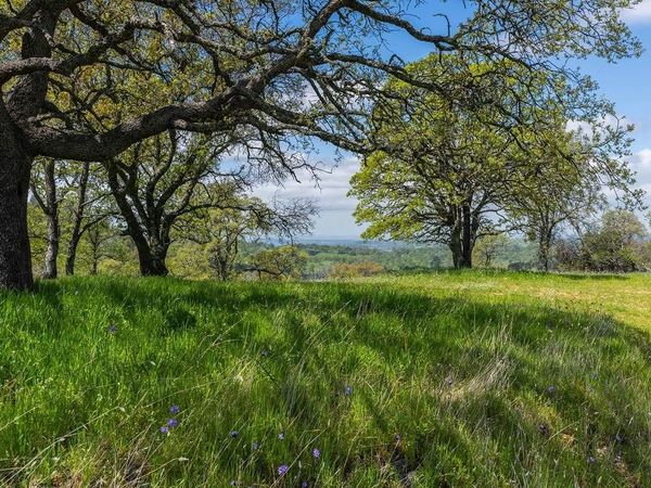 10859 Sunset Dr, Sutter Creek, CA 95685