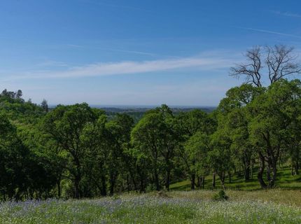 10859 Sunset Dr, Sutter Creek, CA 95685 Photo