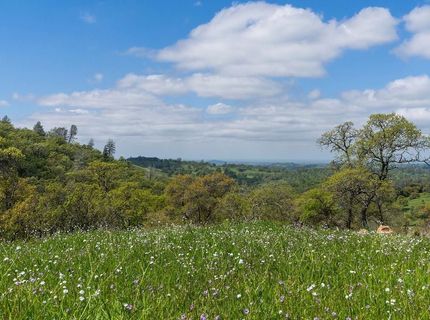 10865 Sunset Dr, Sutter Creek, CA 95685 Photo