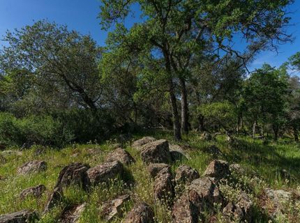 10865 Sunset Dr, Sutter Creek, CA 95685 Photo