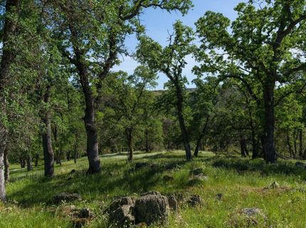 10865 Sunset Dr, Sutter Creek, CA 95685 Photo