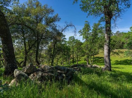 10865 Sunset Dr, Sutter Creek, CA 95685 Photo
