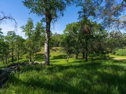 10865 Sunset Dr, Sutter Creek, CA 95685 Photo
