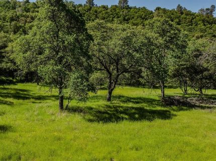 10865 Sunset Dr, Sutter Creek, CA 95685 Photo