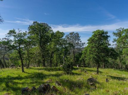 10991 Sunset Dr, Sutter Creek, CA 95685 Photo