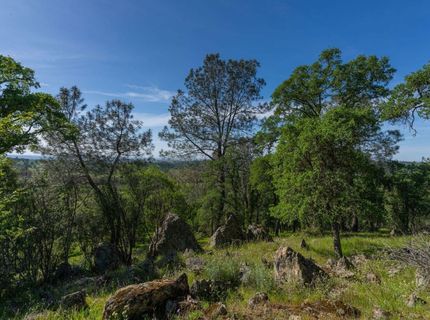 10991 Sunset Dr, Sutter Creek, CA 95685 Photo