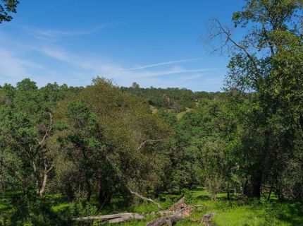 10991 Sunset Dr, Sutter Creek, CA 95685 Photo