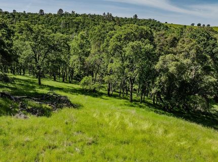 10991 Sunset Dr, Sutter Creek, CA 95685 Photo