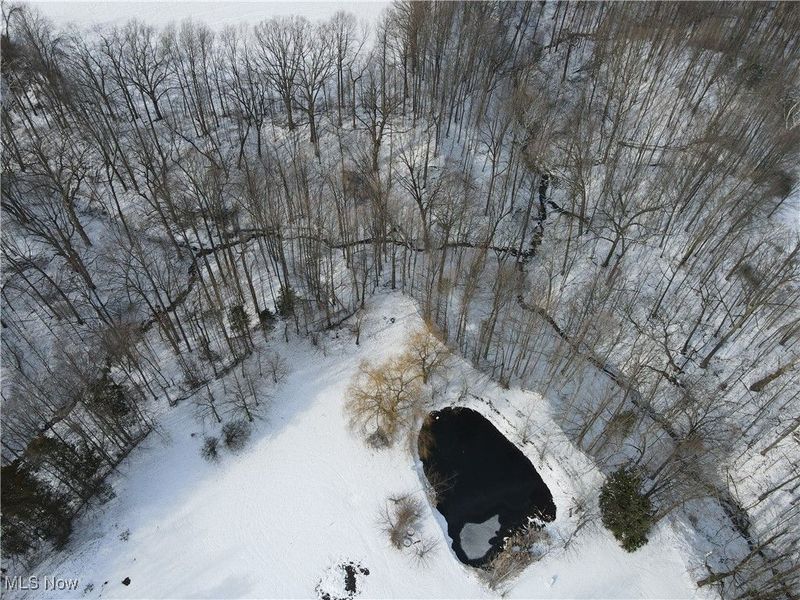 5226 State Route 60, Wakeman, OH 44889 Photo 28