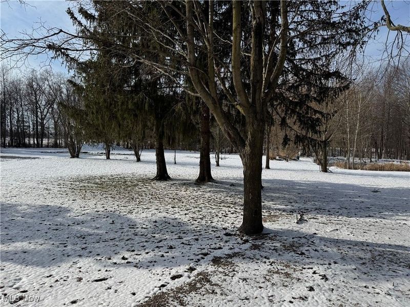 5226 State Route 60, Wakeman, OH 44889 Photo 31