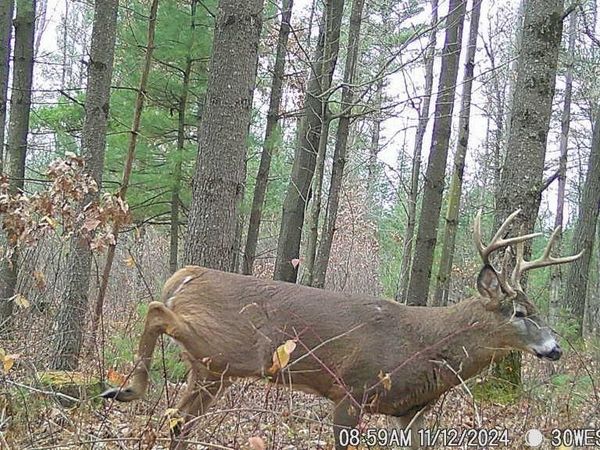 W10979 County Highway B, Humbird, WI 54746