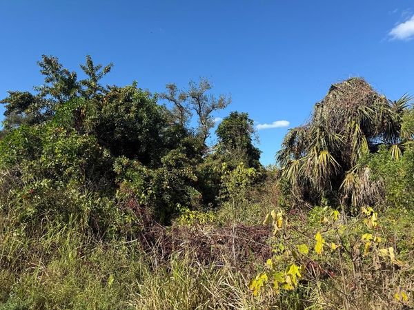 1810 38th Place, Vero Beach, FL 32960