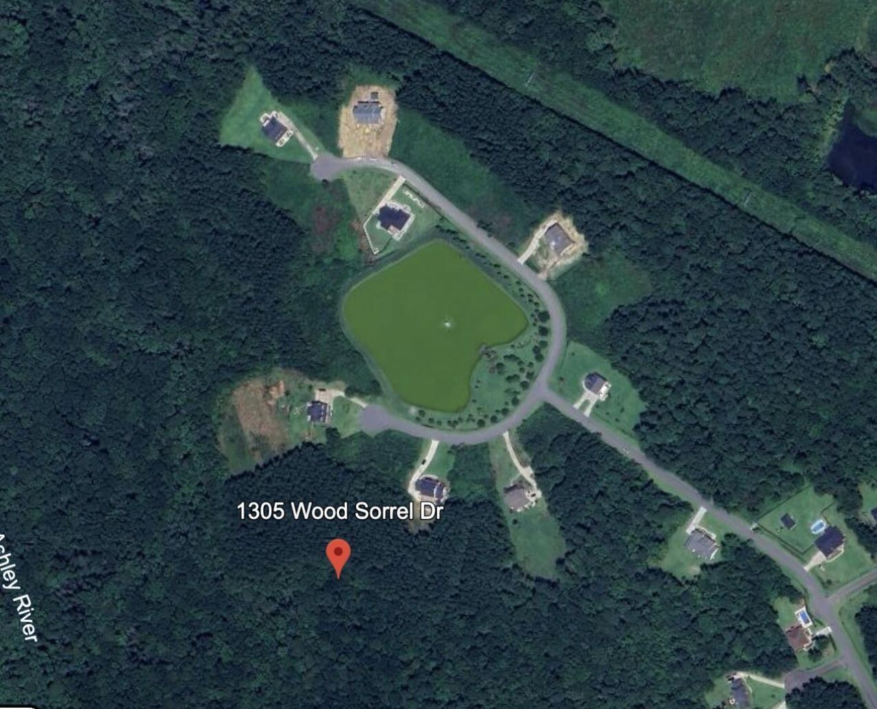 1305 Wood Sorrel Drive Photo 18