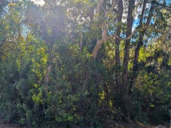 6195 6th Place, Vero Beach, FL 32968