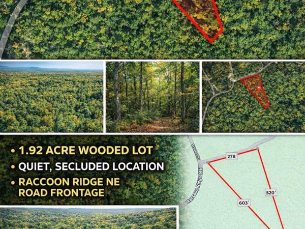 1022 Raccoon Ridge Road, Ranger, GA 30734