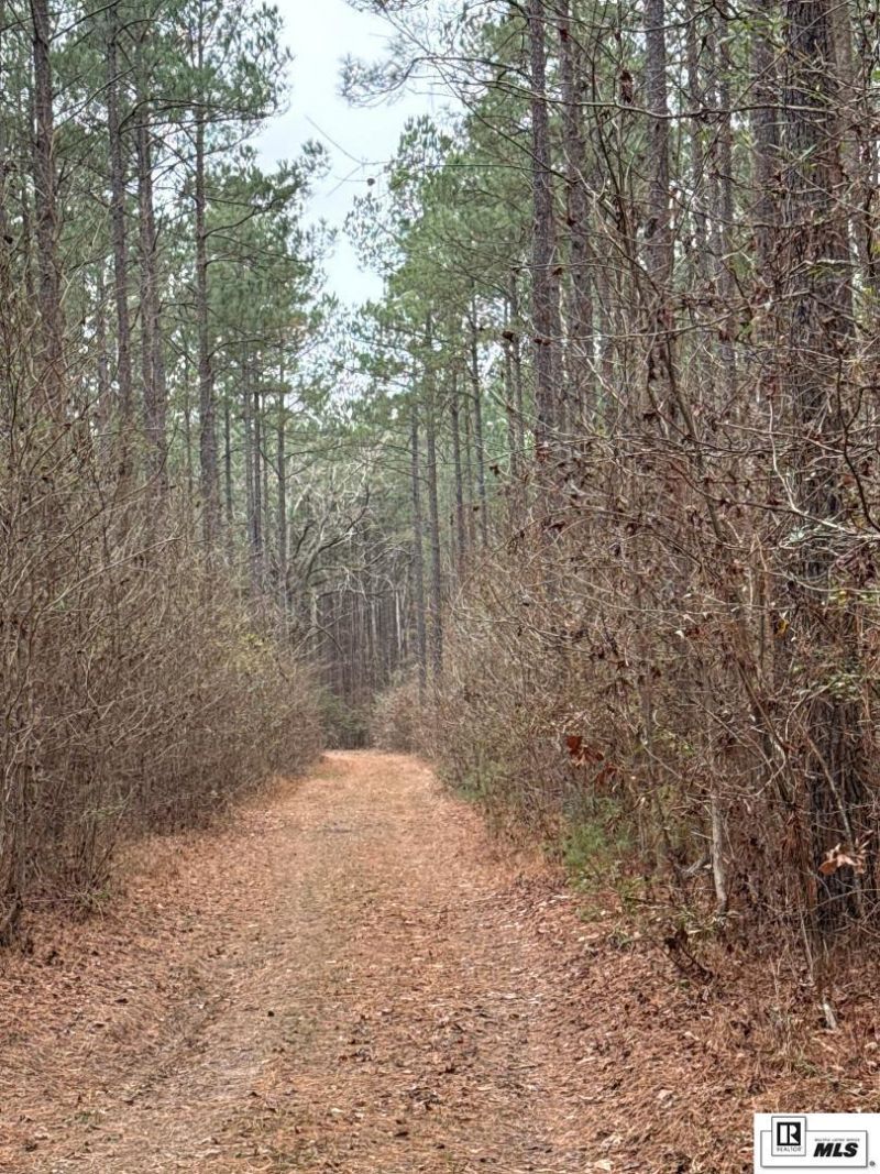 0 Highway 818, Ruston, LA 71270 Main Photo