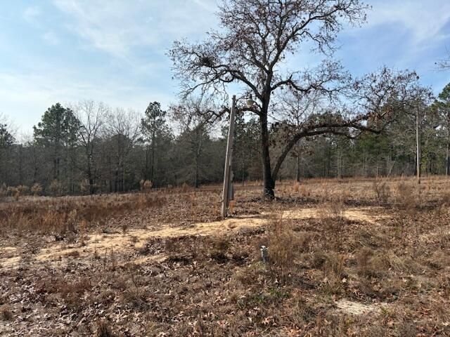 150 Log Cabin Road Photo 3