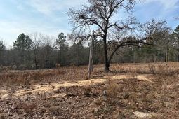 150 Log Cabin Road photo 4