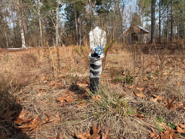 150 Log Cabin Road Photo 4