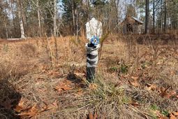 150 Log Cabin Road photo 4