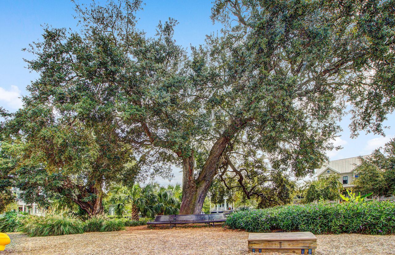 1705 Frissel Street Photo 79