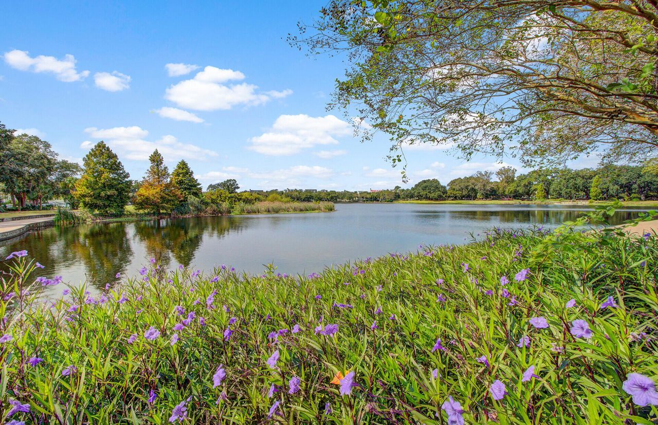 1705 Frissel Street Photo 80