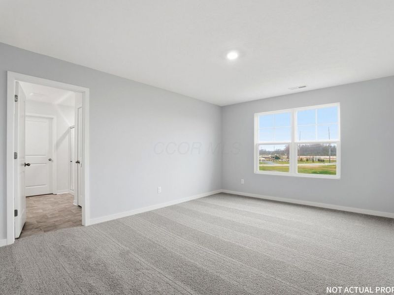 5910 Pitch Pine Drive, Canal Winchester, OH 43110 Photo 21