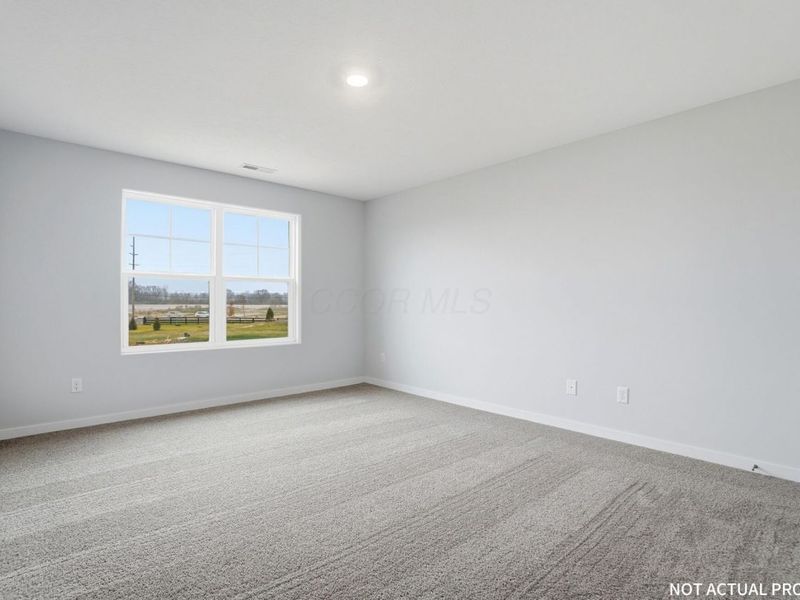 5910 Pitch Pine Drive, Canal Winchester, OH 43110 Photo 22