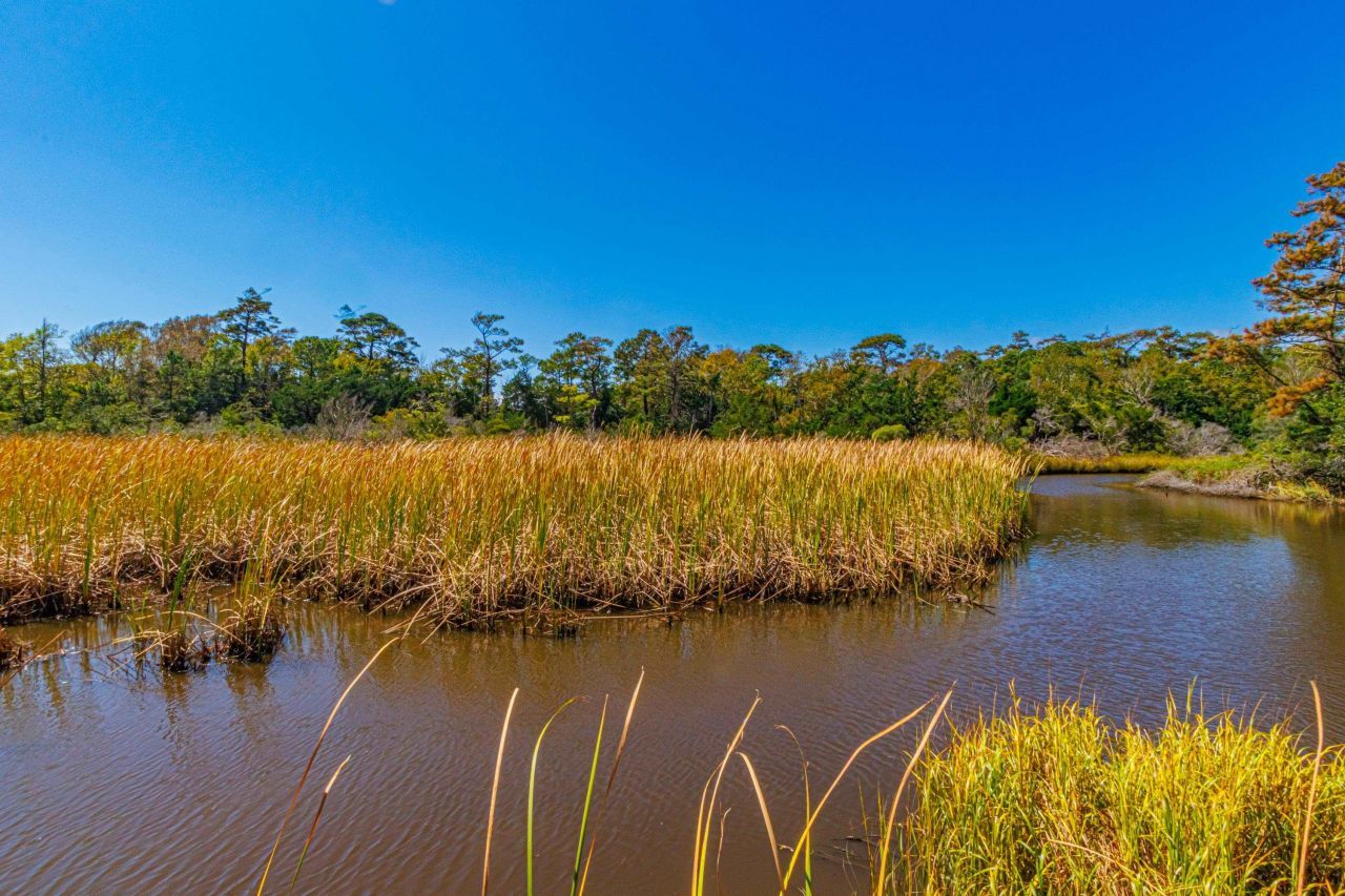 311 69th Ave. N Photo 30