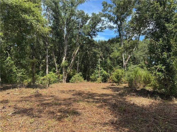 0 Lundy Road, Theodore, AL 36582