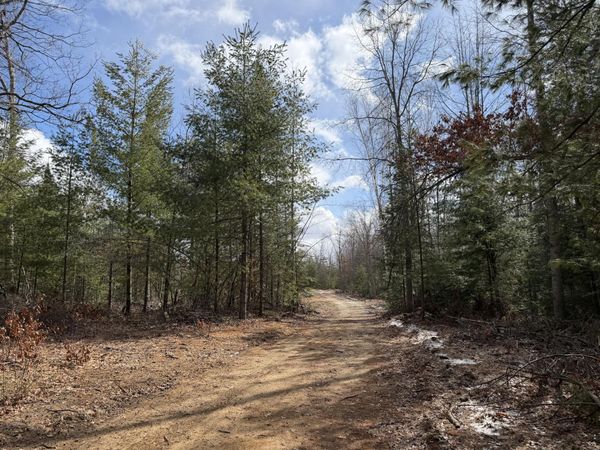 1556 W 8th Street, Prescott, MI 48756