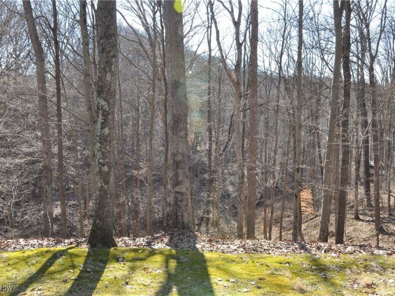 2620 Burnett Road, Cutler, OH 45724 Photo 42